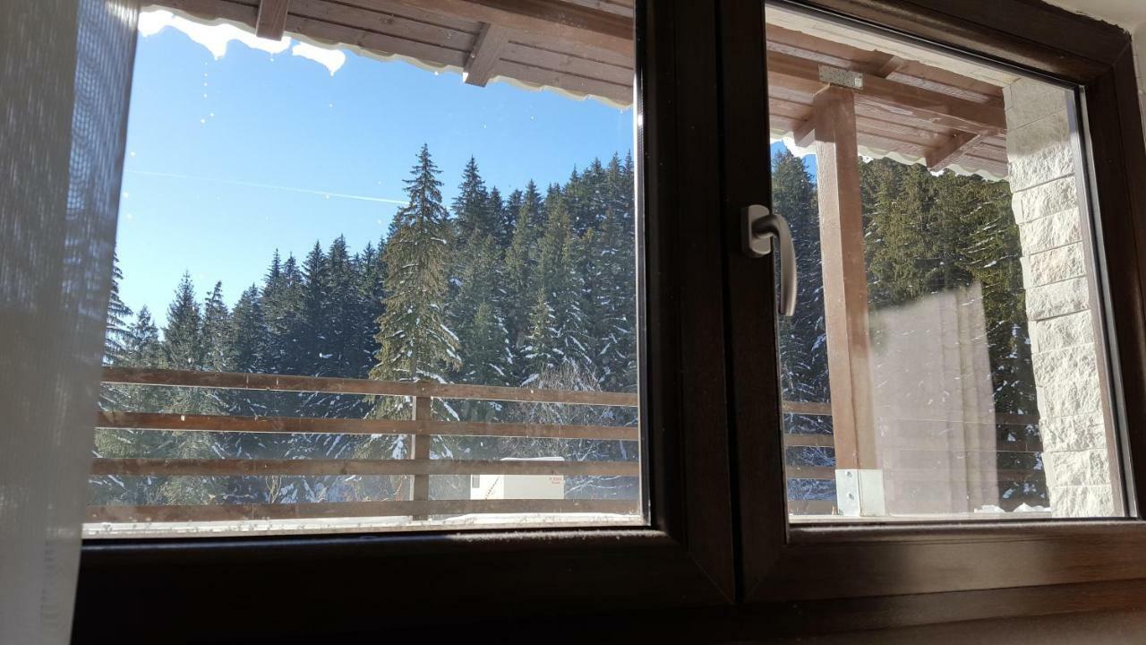 Apartament Andra Poiana Brasov Exterior foto