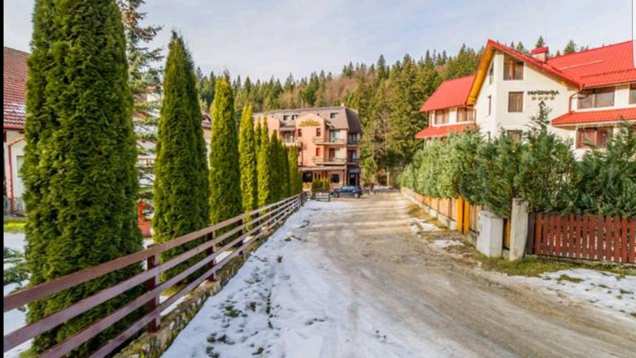 Apartament Andra Poiana Brasov Exterior foto